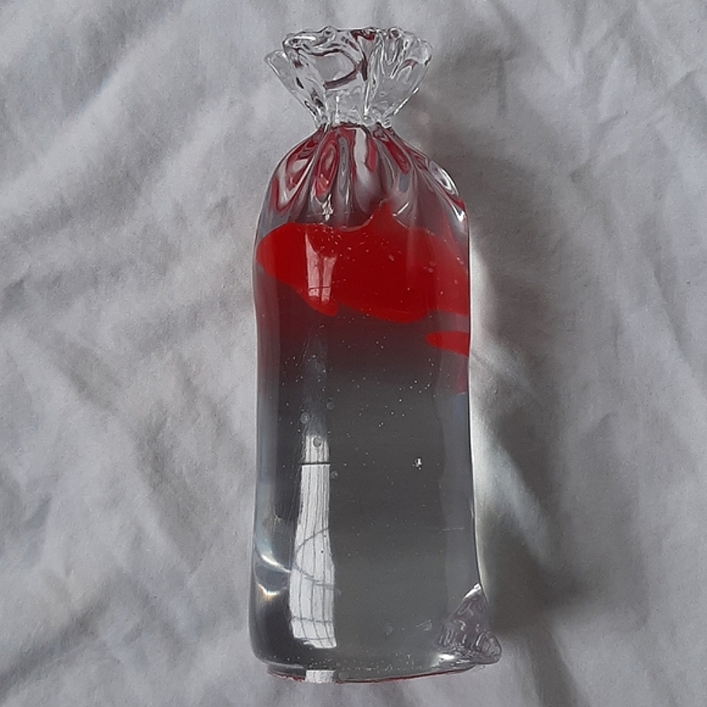 Koi In A Bag Art